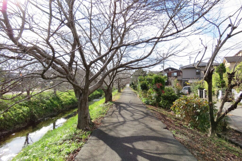 野洲市冨波乙　建築条件無し住宅用地-07
