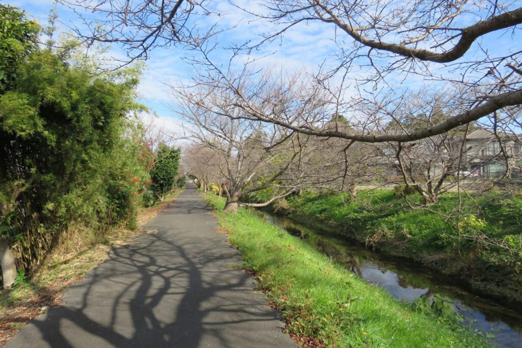 野洲市冨波乙　建築条件無し住宅用地-08